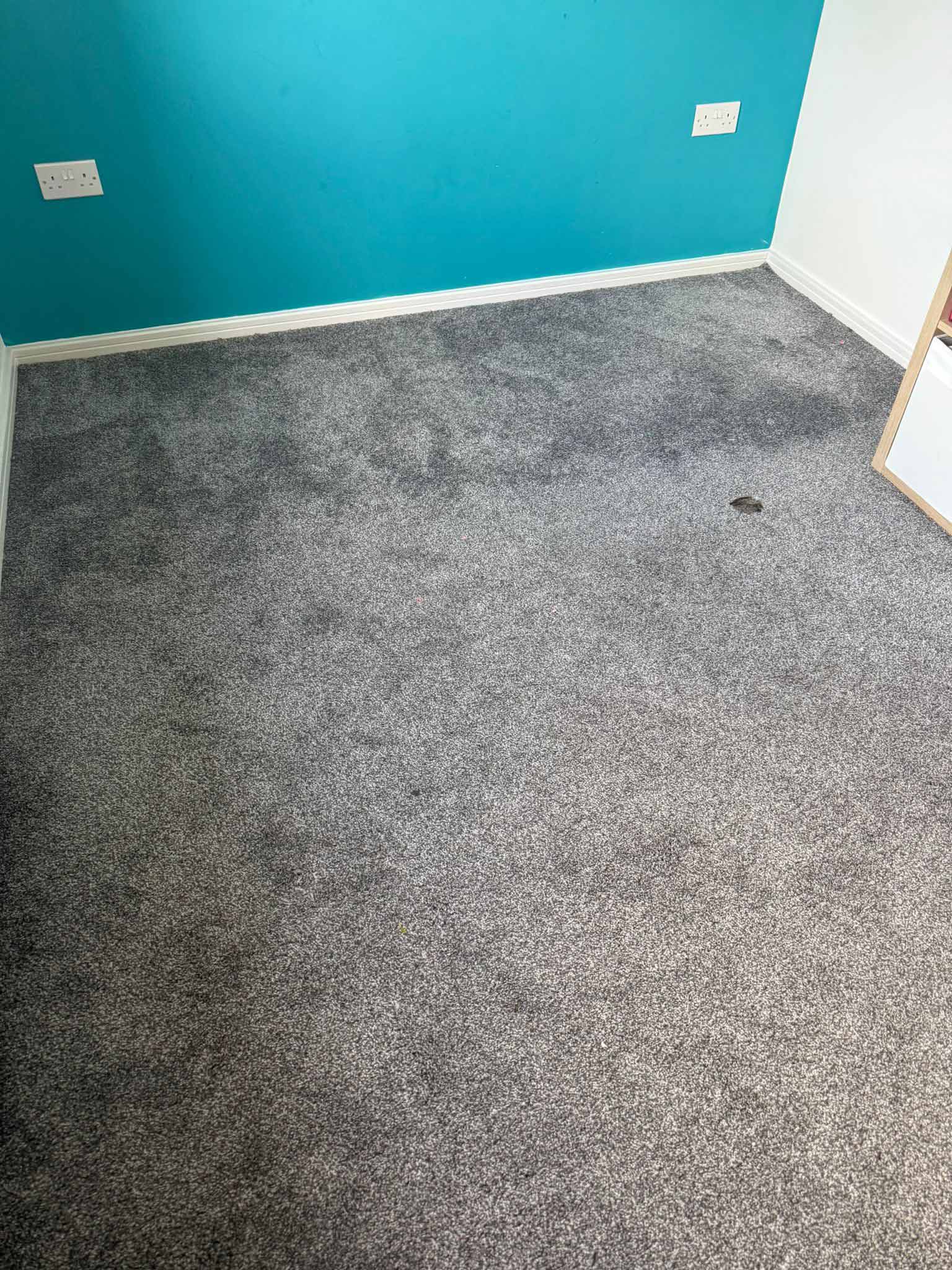JH Domestics carpet cleaning services Walton Liverpool